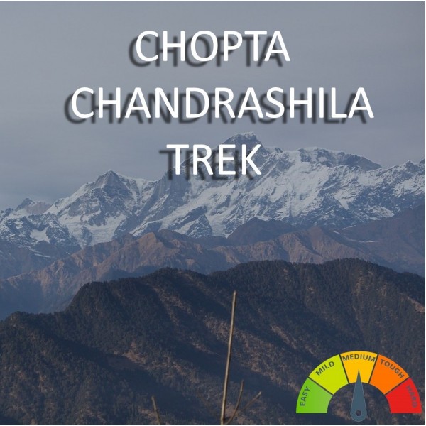 Chopta Chandrashila Trek (3D 2N)