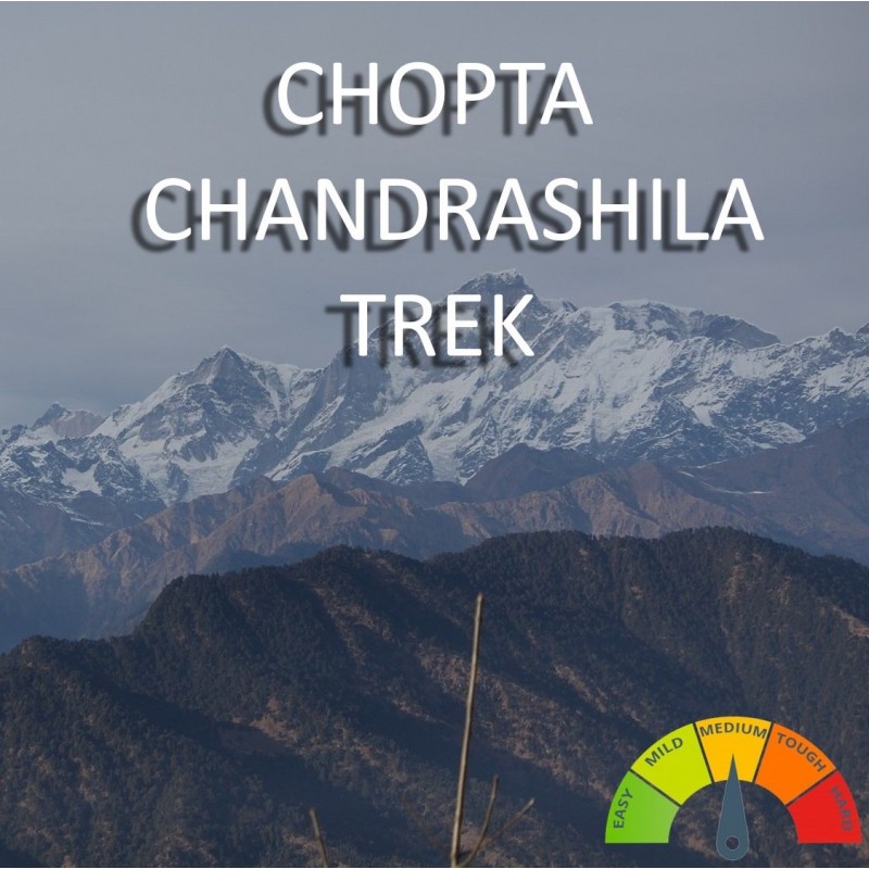 Chopta Chandrashila Trek (3D 2N)