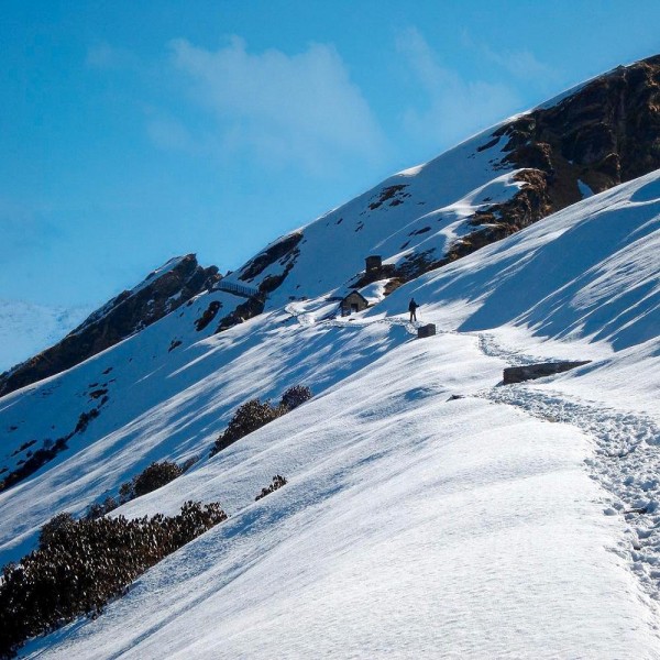 Nag Tibba Trek (2D 1N)