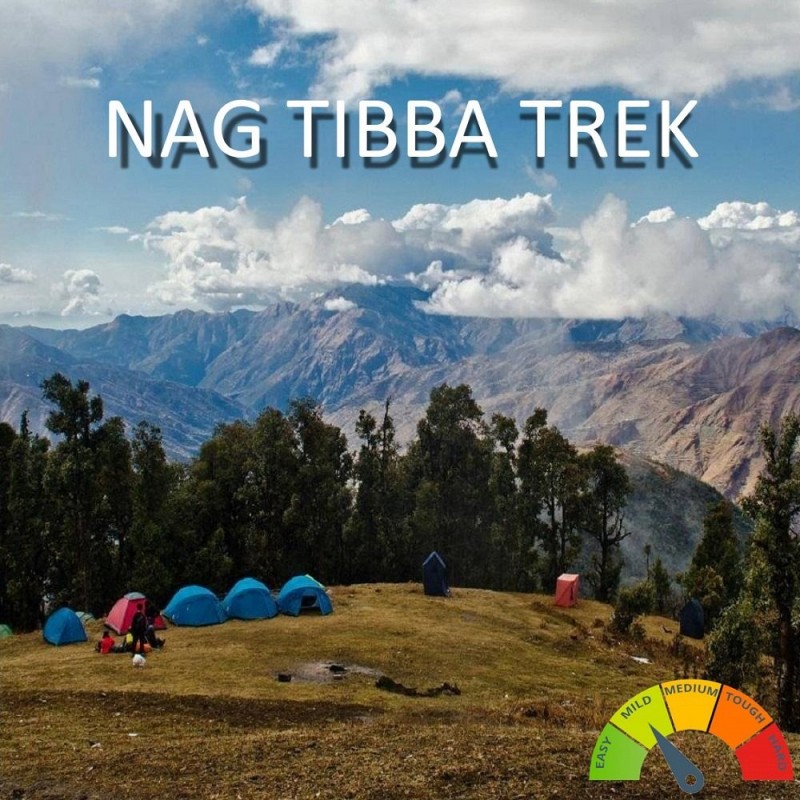 Nag Tibba Trek (2D 1N)